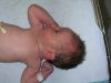 Filename=chase9.jpg
Filesize=1062KB
Dimensions=2048x1536
Date added=Aug 30, 2008 chase9.jpg