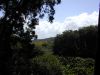 DSCN0029.JPG