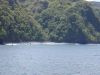 DSCN0073.JPG