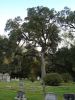 DSC02490.JPG