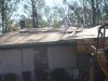 DSC01178.JPG